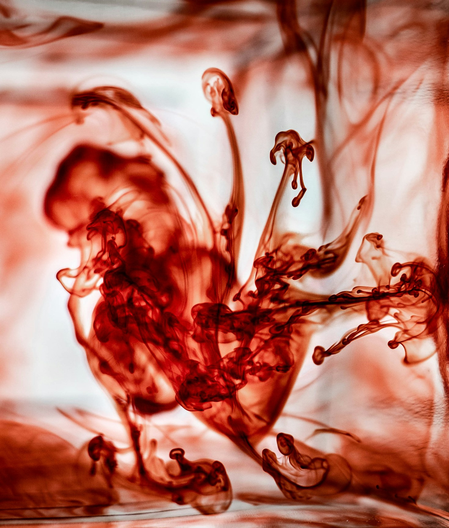 From Navarra to Dublin: A Journey of Flavor and Art